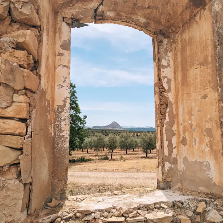 Citizens of Soil - Spanish Extra Virgin Olive Oil 500ml