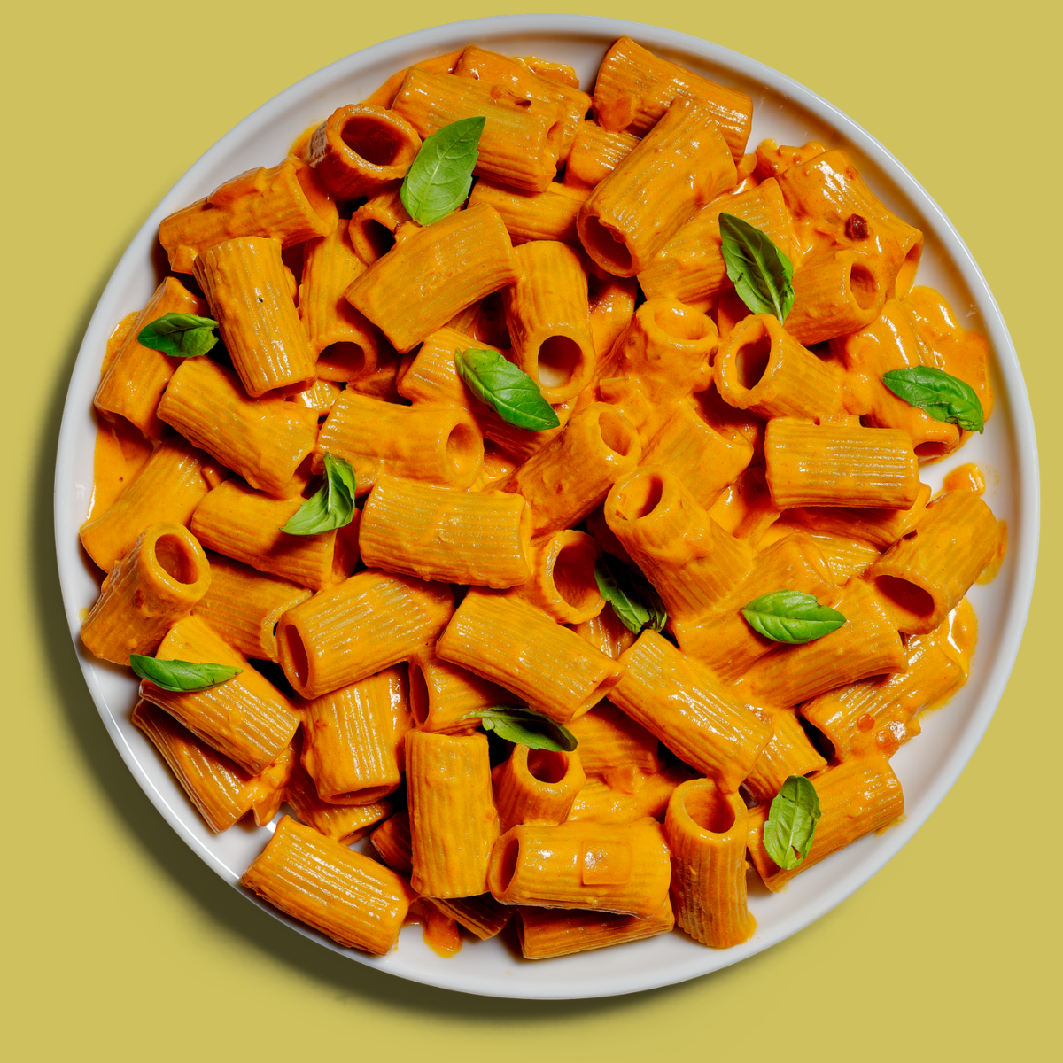 Plot Twist Rigatoni Low Carb Keto Pasta 210g